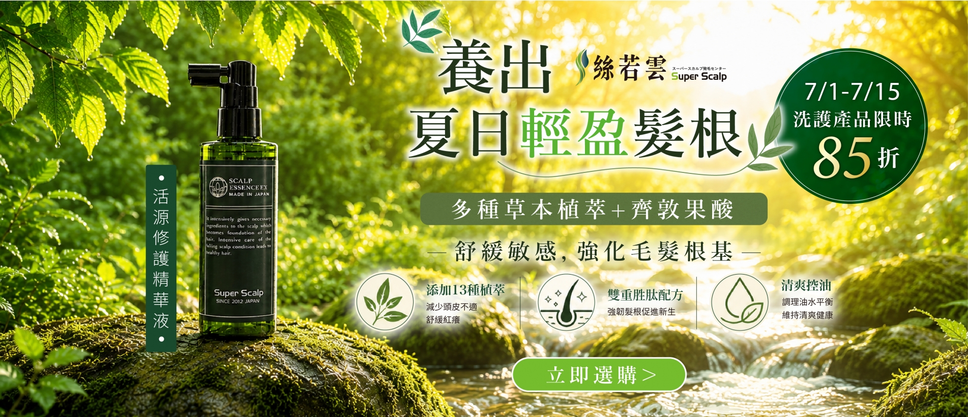 養出夏日輕盈髮根