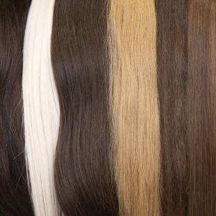 頭髮為何有不同的顏色