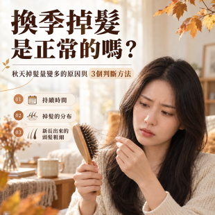 秋季掉頭髮.png